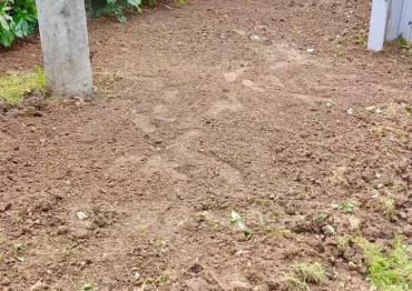Участок под хозблок для хранения в расцветке "под дерево" с рольставнями в пос. Первомайское, г. Москва
