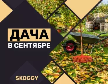 Дача в сентябре