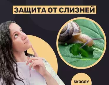 Защита от слизней