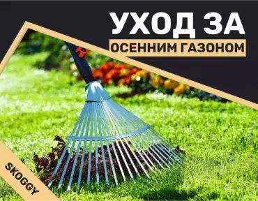 Уход за осенним газоном