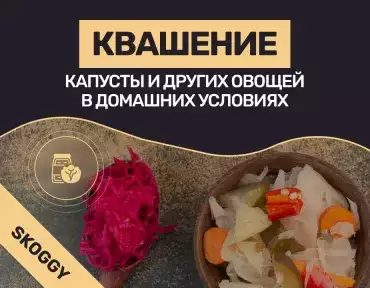 Квашение капусты и других овощей в домашних условиях